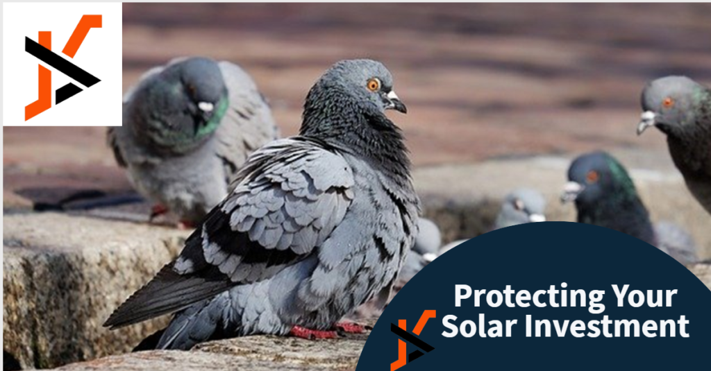 Protecting Your Solar Investment