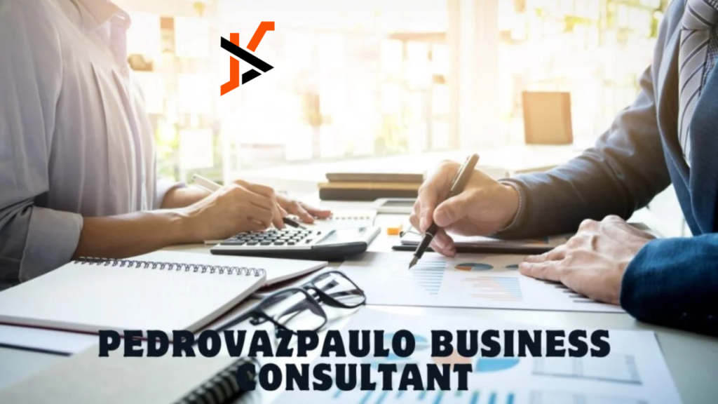 Pedrovazpaulo Business Consultant