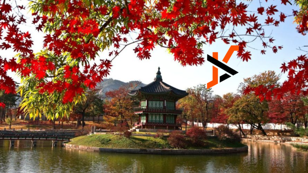 Why You Want to Go to South Korea? Top Reasons to Visit This Amazing Country