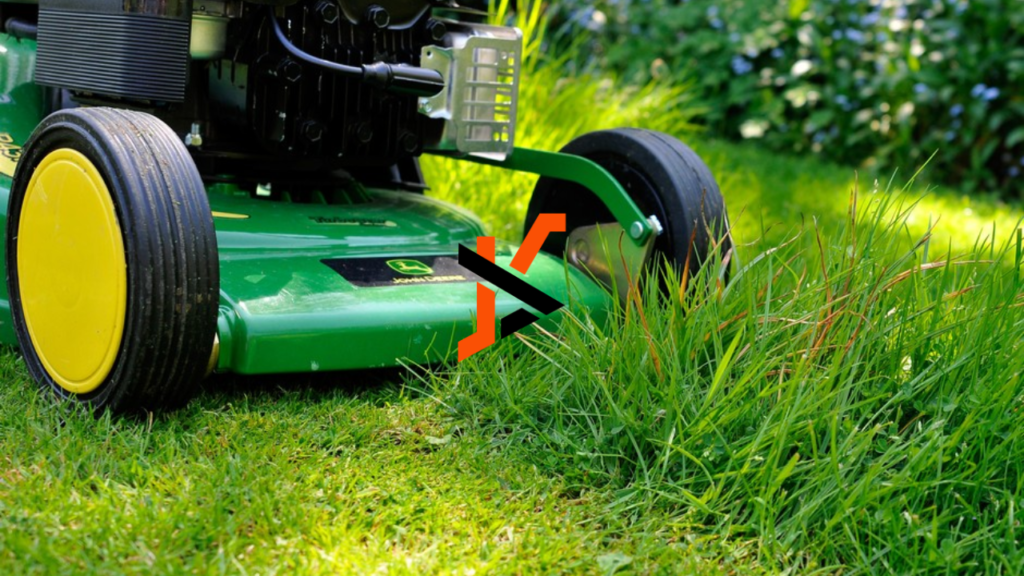 The Ultimate Guide to Lawn Care: Keeping Your Lawn Green Year-Round