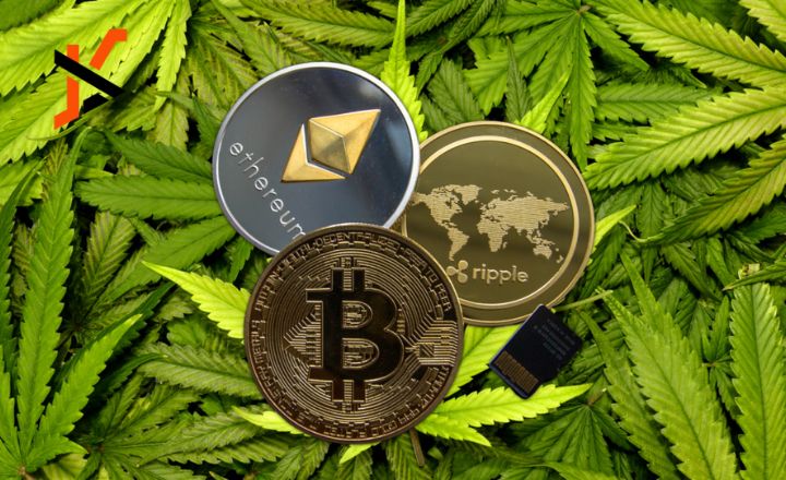 5StarsStocks.com Cannabis