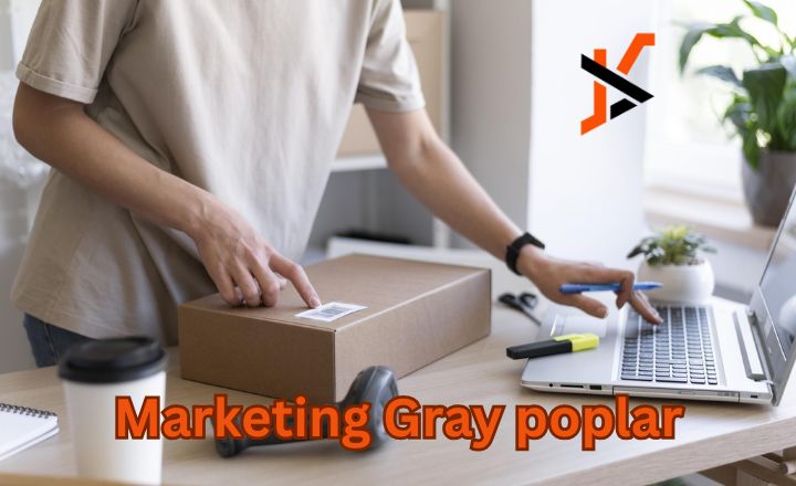 Dropshipping gray poplar