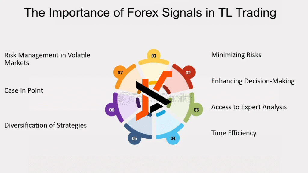 The Role of Transparency in Forex Signal Services: 6 Key Expectations for Traders