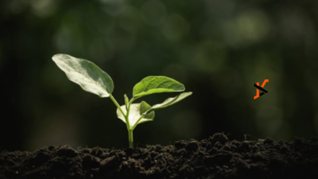 Soil Health