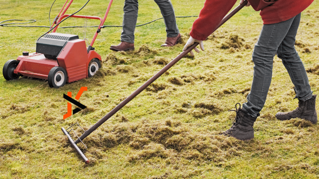 Signs Your Lawn Needs a Dethatcher Now