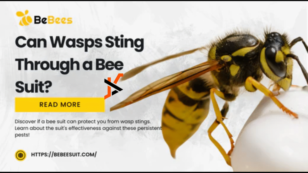 How the Best Bee Suit Can Help Prevent Painful Mistakes
