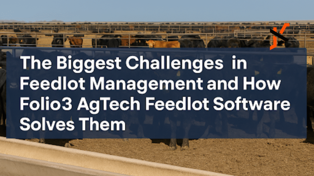 The Biggest Challenges in Feedlot Management and How Folio3 AgTech Feedlot Software Solves Them