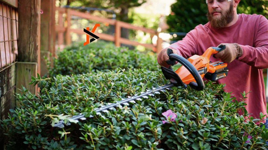 Can You Cut Bushes With A Chainsaw?