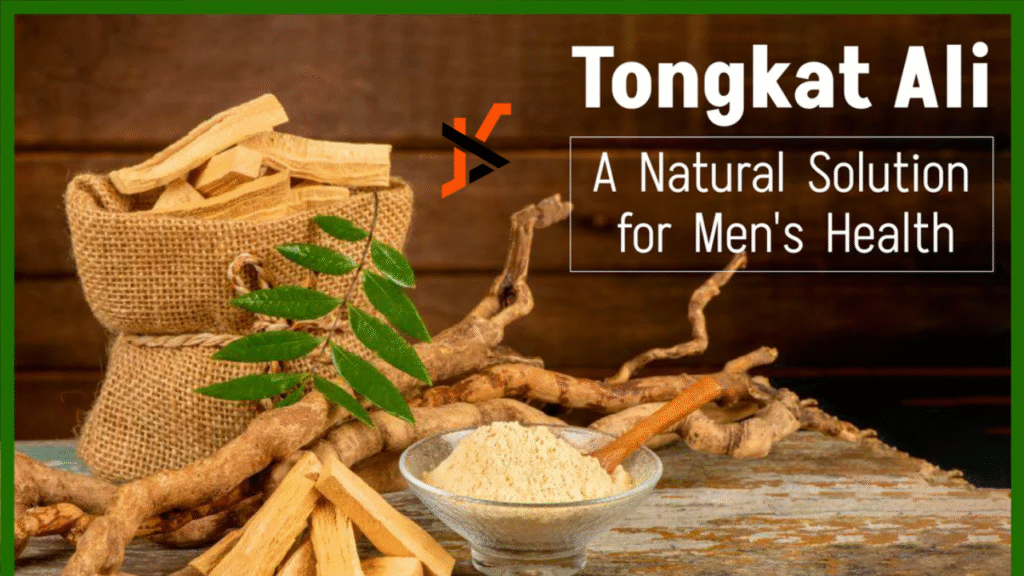 Explore the Power of Tongkat Ali: A Natural Boost for Your Well-being demand