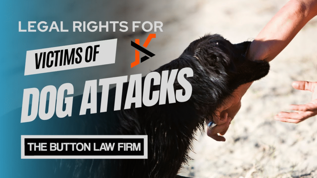 Understanding Your Rights After a Dog Attack: What Every Victim Needs to Know