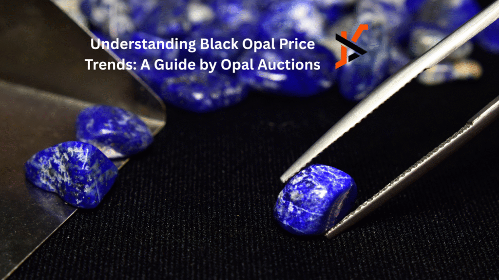 Understanding Black Opal Price Trends: A Guide by Opal Auctions Black Opal Price