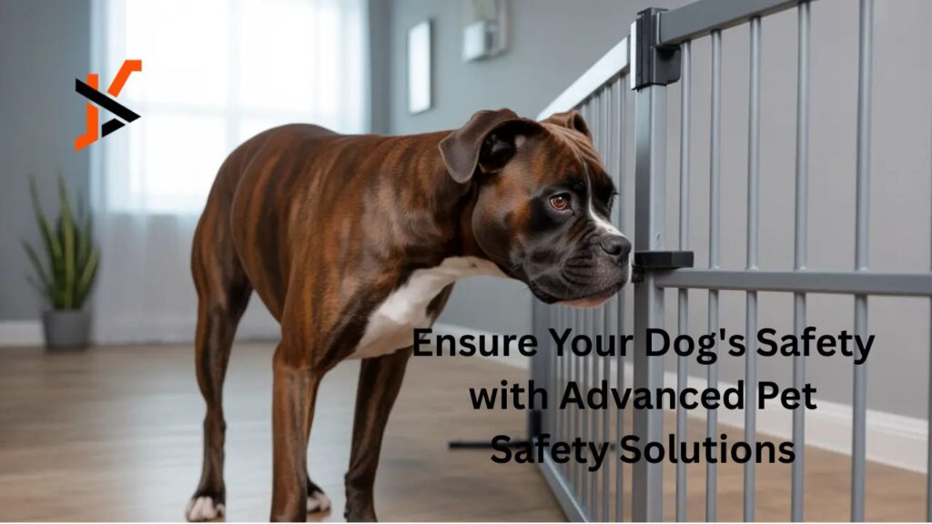 Ensure Your Dog's Safety with Advanced Pet Safety Solutions