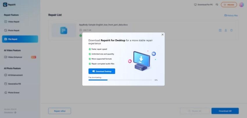 preview and export repaired files