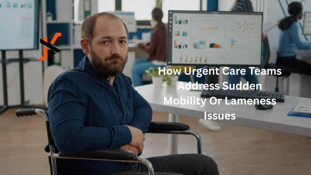 How Urgent Care Teams Address Sudden Mobility Or Lameness Issues How Urgent Care Teams Address Sudden Mobility Or Lameness Issues
