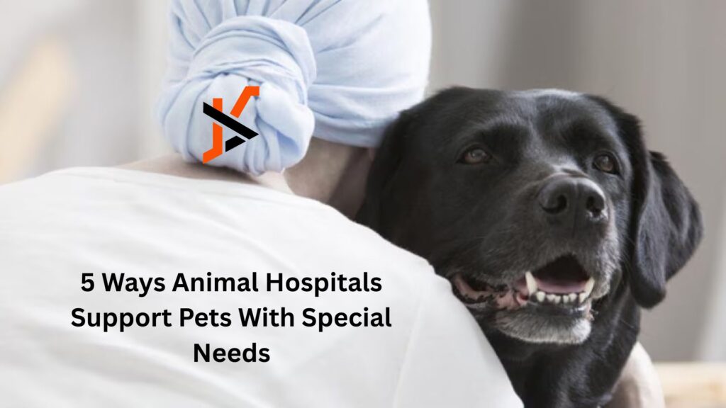 5 Ways Animal Hospitals Support Pets With Special Needs