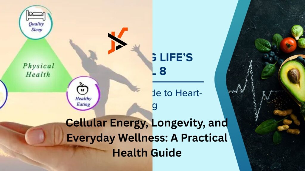 Cellular Energy, Longevity, and Everyday Wellness: A Practical Health Guide