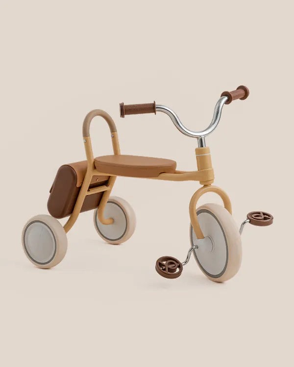 Best Gift Ideas for Grandparents: Kid Tricycles Grandparents