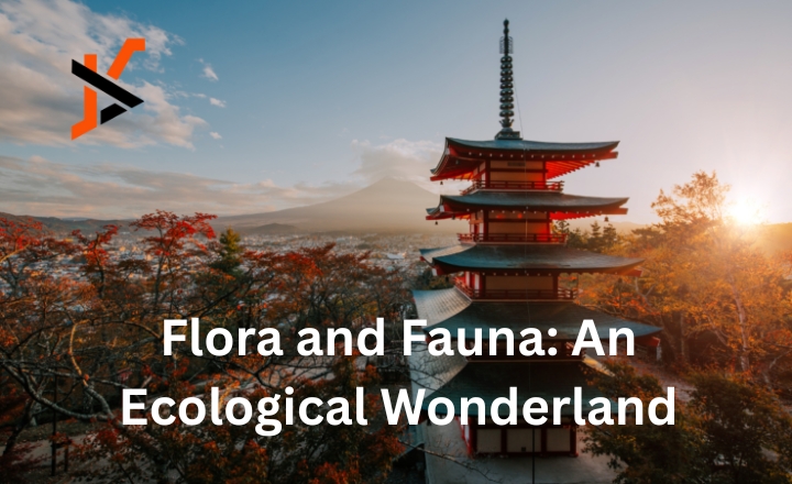 highlights of nummazaki