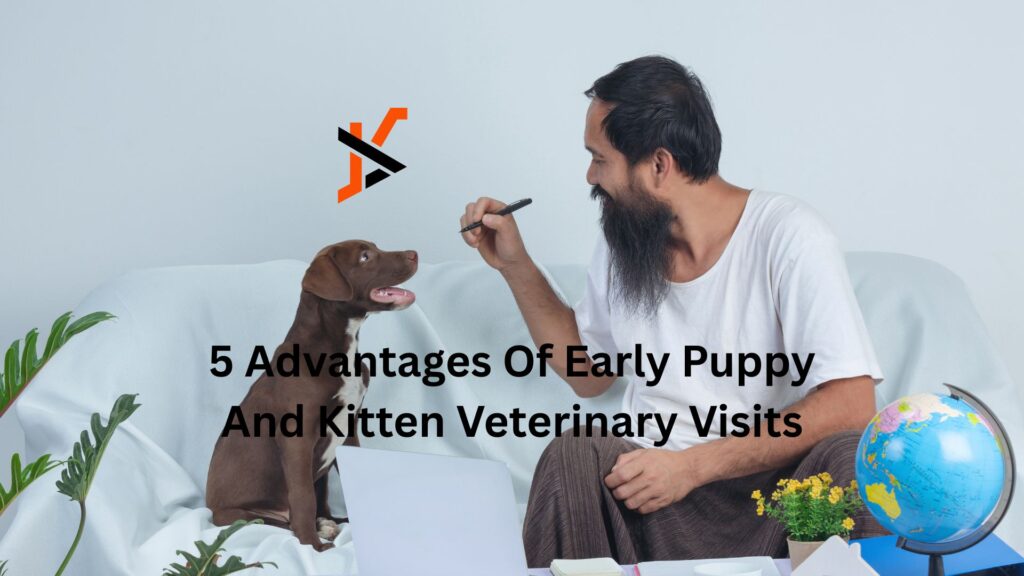 5 Advantages Of Early Puppy And Kitten Veterinary Visits 5 Advantages Of Early Puppy And Kitten Veterinary Visits