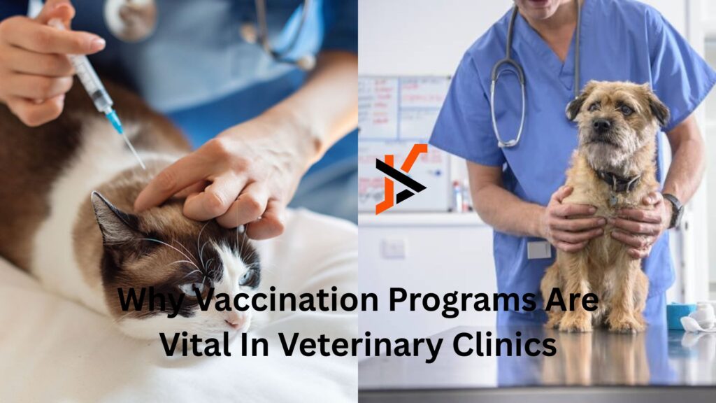 Why Vaccination Programs Are Vital In Veterinary Clinics Why Vaccination Programs Are Vital In Veterinary Clinics