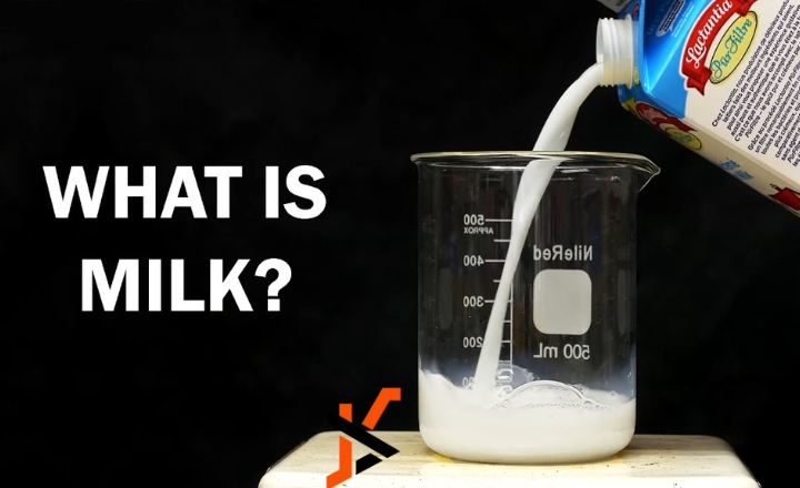 30.6df496–j261x5 in milk