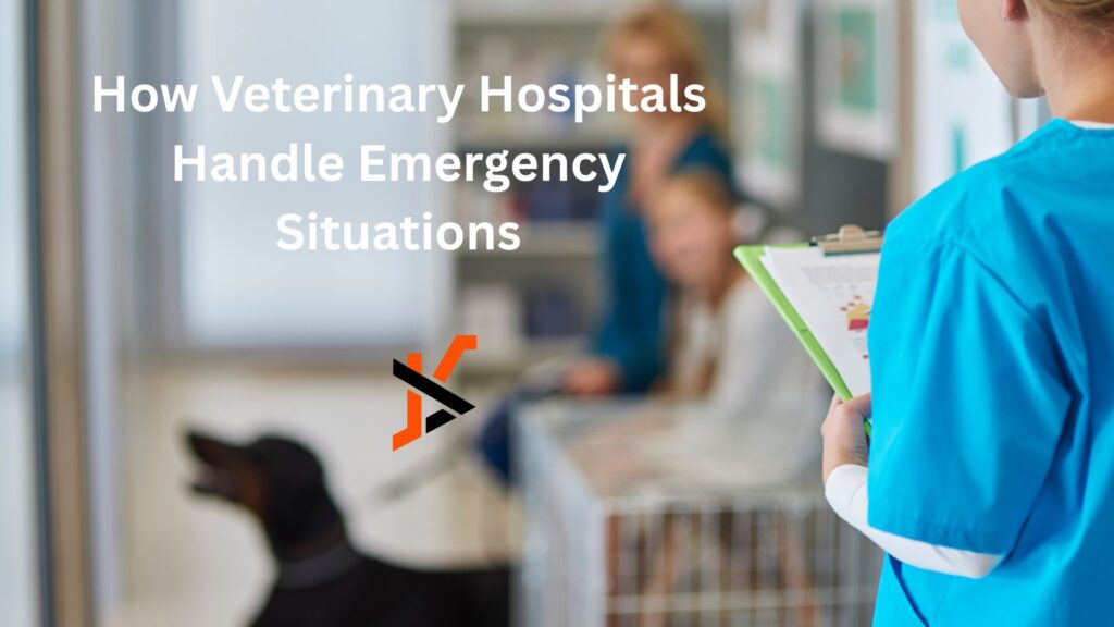 How Veterinary Hospitals Handle Emergency Situations