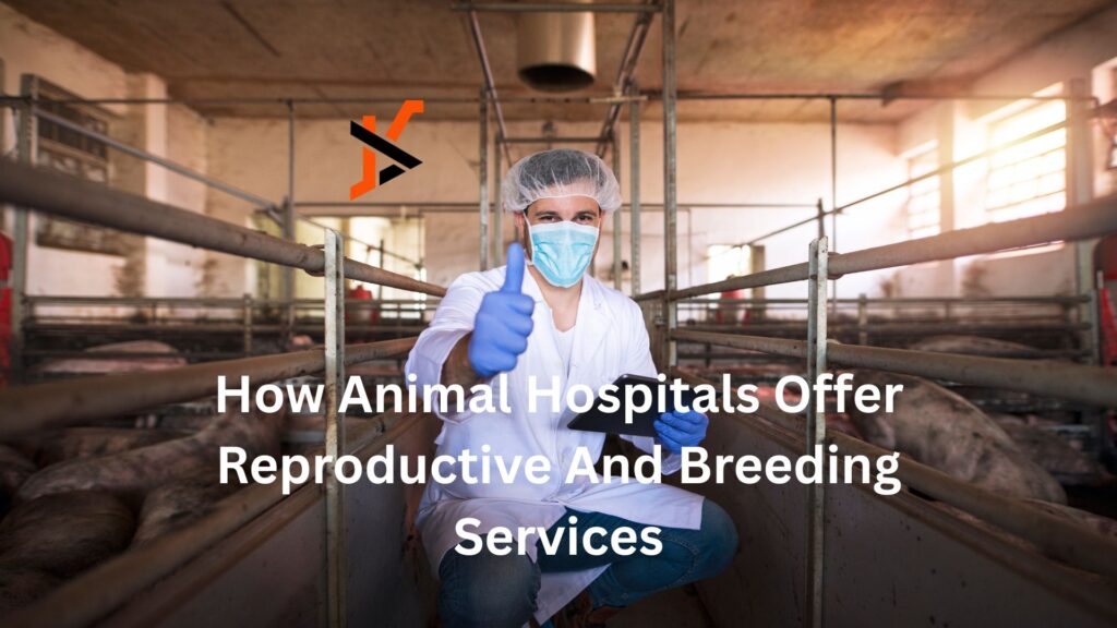 How Animal Hospitals Offer Reproductive And Breeding Services How Animal Hospitals Offer Reproductive And Breeding Services