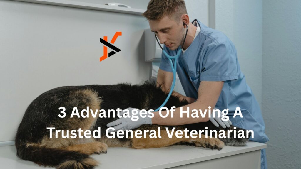 3 Advantages Of Having A Trusted General Veterinarian