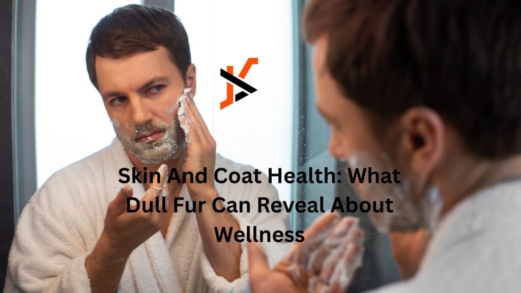 Skin And Coat Health: What Dull Fur Can Reveal About Wellness