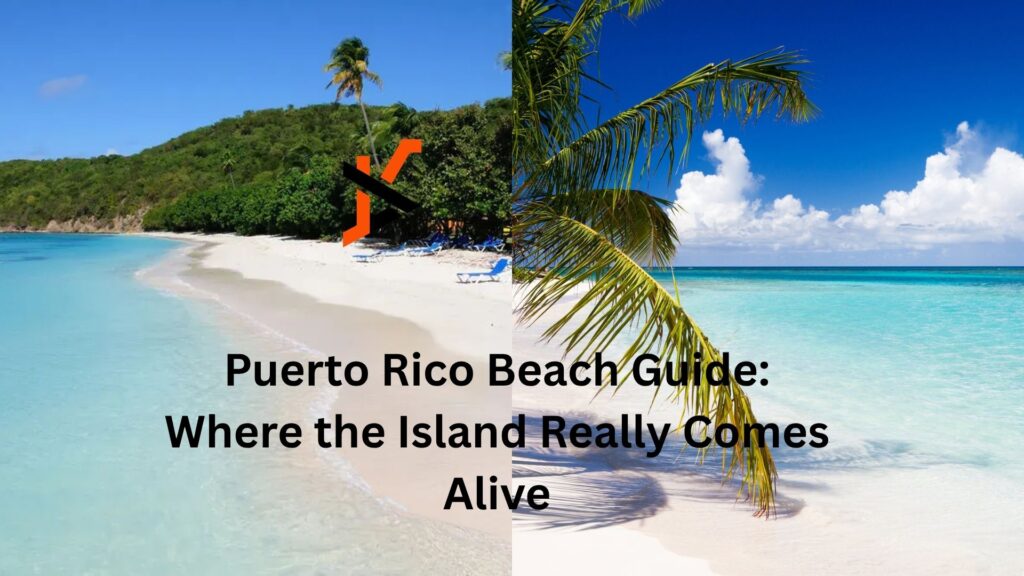 Puerto Rico Beach Guide: Where the Island Really Comes Alive puerto rico beach