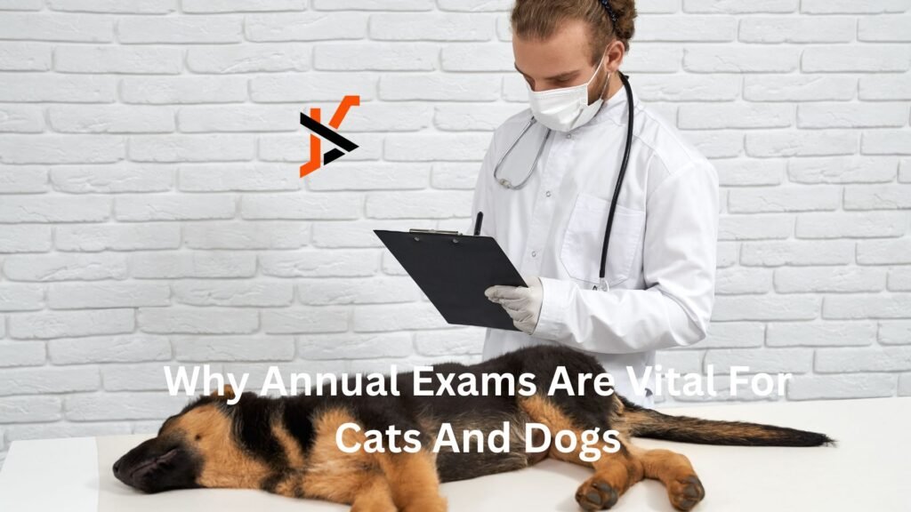 Why Annual Exams Are Vital For Cats And Dogs Why Annual Exams Are Vital For Cats And Dogs