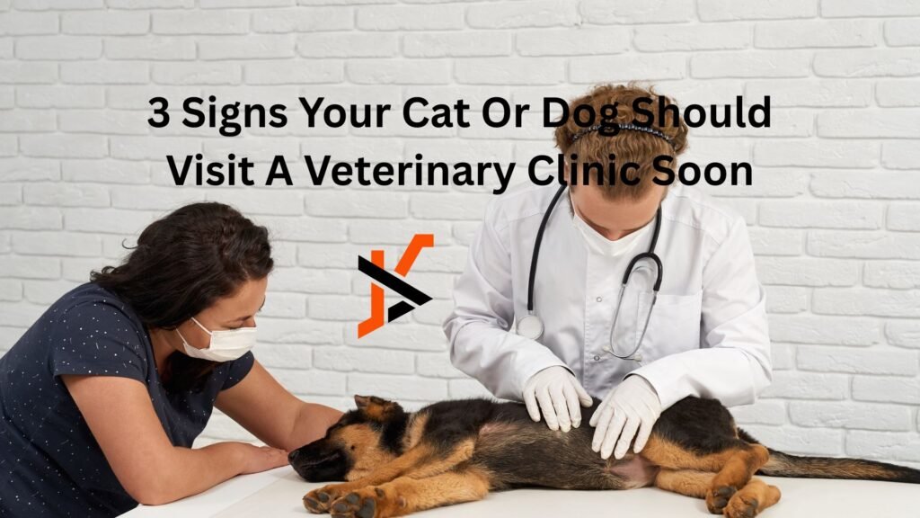 3 Signs Your Cat Or Dog Should Visit A Veterinary Clinic Soon