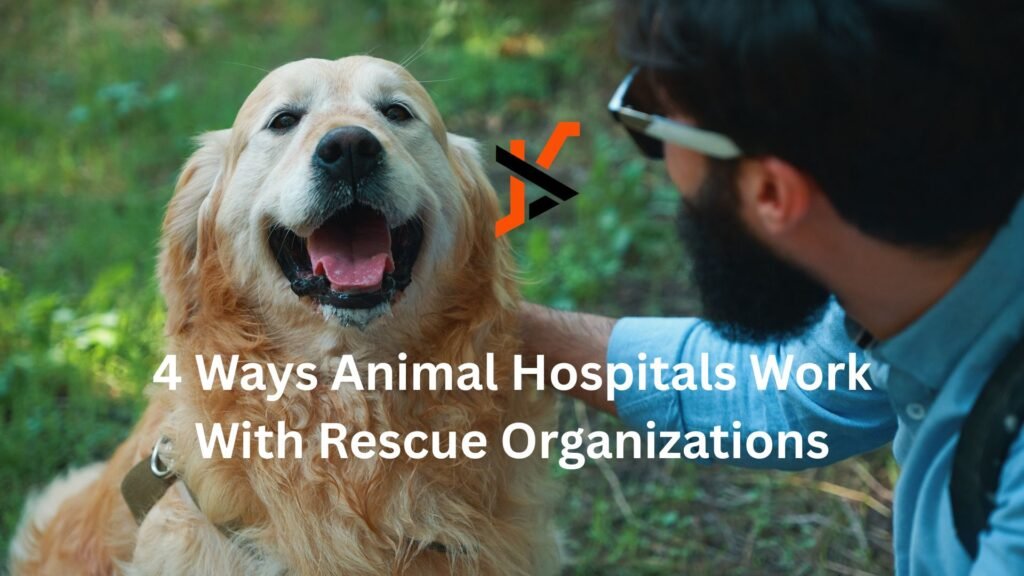 4 Ways Animal Hospitals Work With Rescue Organizations 4 Ways Animal Hospitals Work With Rescue Organizations
